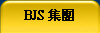 BJS 
